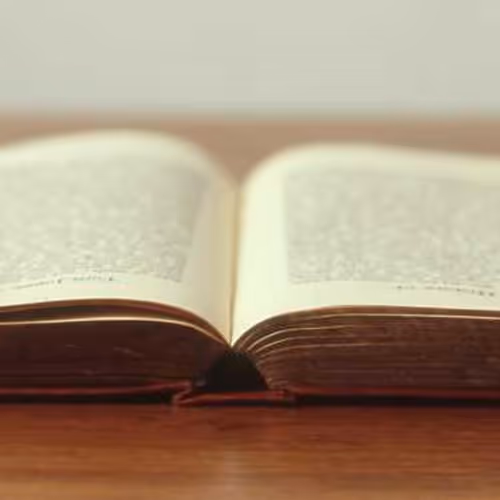 Particle Miniature Friend