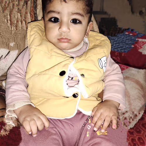Shani Boy