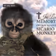 Bby Monky