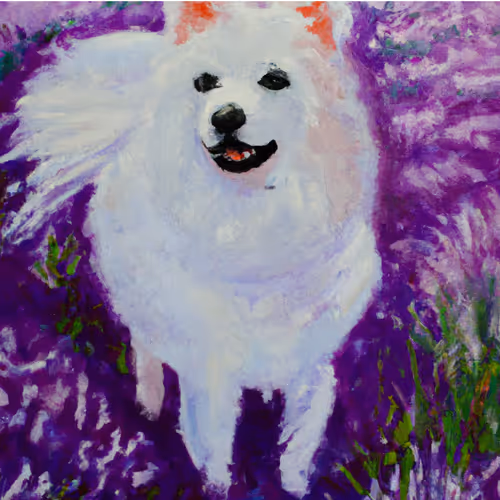 Spitzsody in Lavender