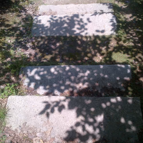 sunlight shadow