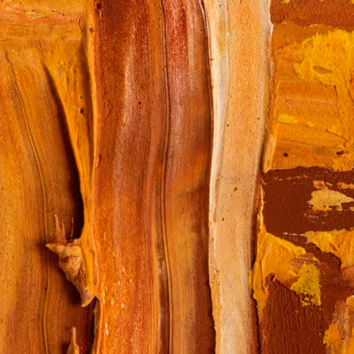 0x04cf9657e8aef963ec9dec00fdb7e5dd0311a3dc