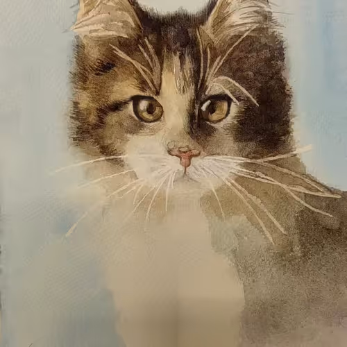cat