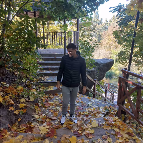 Orange autumn