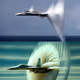 The Air Fighter