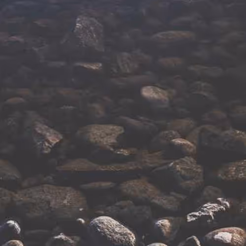 Referring Allowing Compounds