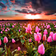 flowerrrs