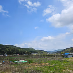 풍경