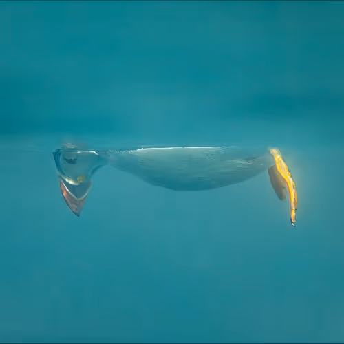 Don't look down