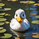 Mr. Duck