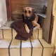 Perros