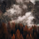 A mountain covered in clouds and trees