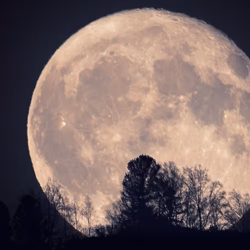 to the moon