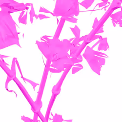 Floral Reverie╰┈┈┈ ⚛˚