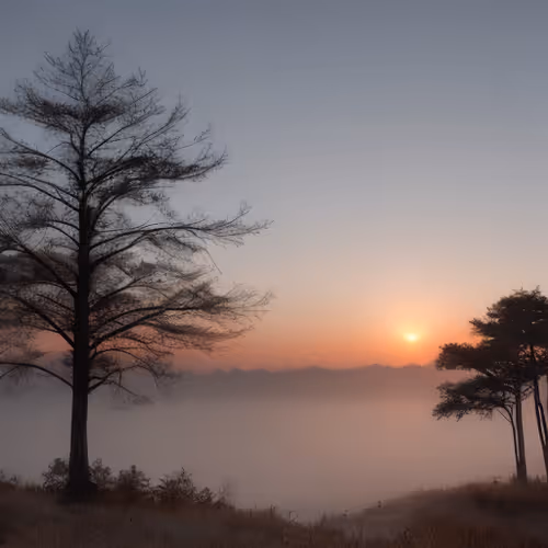 0x9a137fd5148d0b77933a3d79e54b2165a3c80972