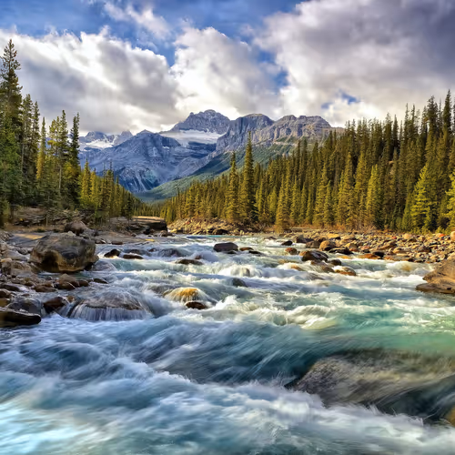 Beautiful Nature
