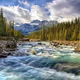 Beautiful Nature