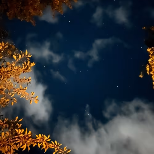 night