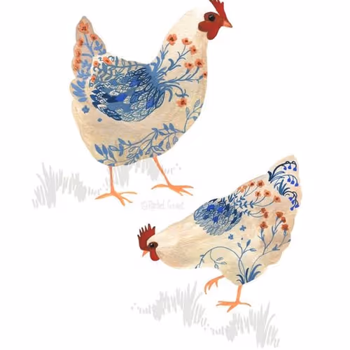 chickens