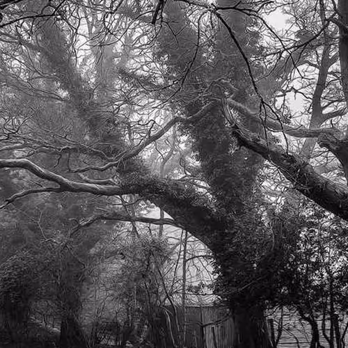 Singing Set Experimental