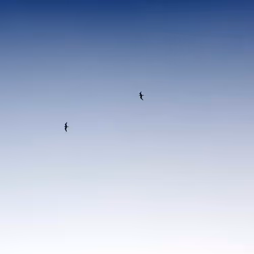 Focused Genealogy Corrections