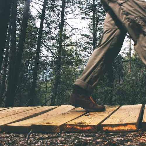 Informative Monitors