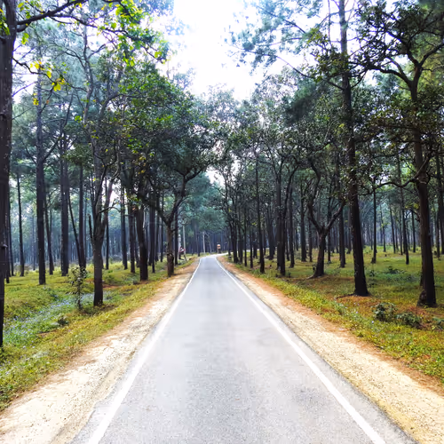 Touching Grass & Nature