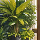 Urban Jungle: The Indoor Oasis