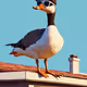 gus