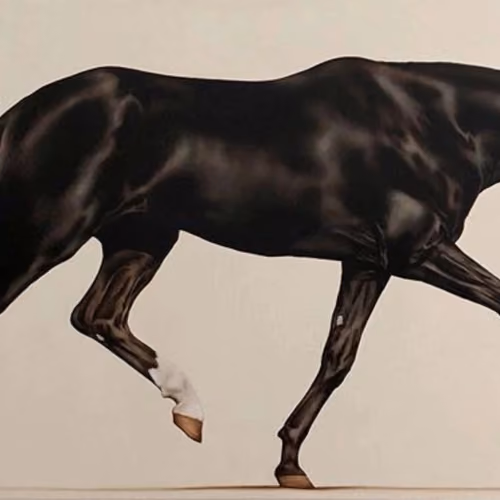 black horse