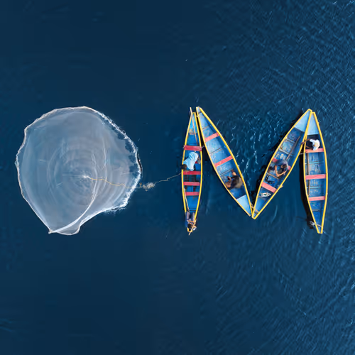 6529 Memes - Open Metaverse / OM