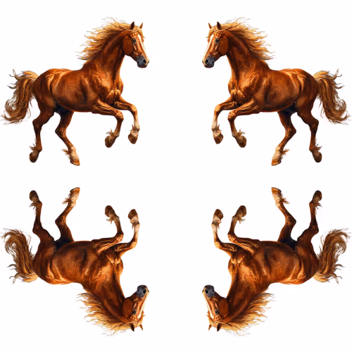 Horses