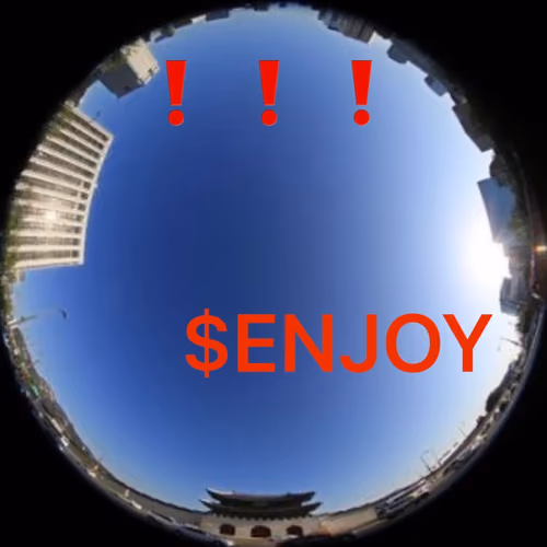 $enjoy in ordinary life