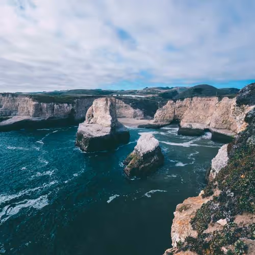 Berry Interventions Brass