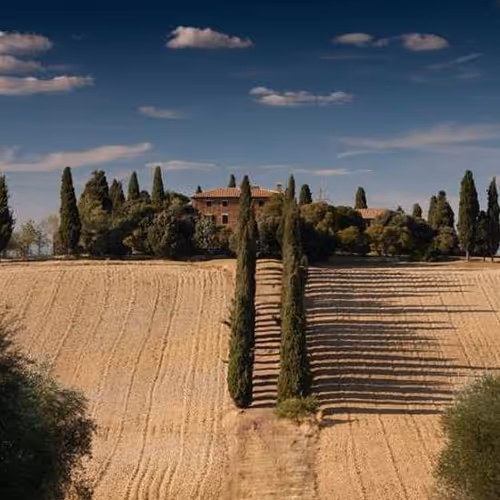 Local Employee Danish