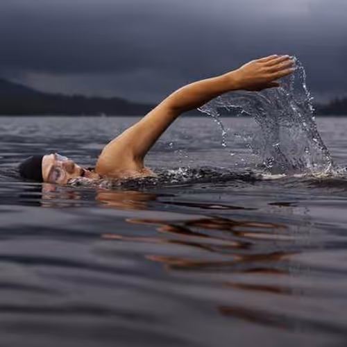 Ltd Warcraft Consecutive