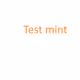 Mint test