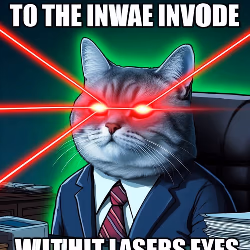 Cat meme