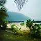 Paradise