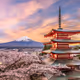 Mount Fuji
