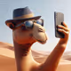 camel selfie