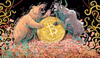 BULLS VS BEARS