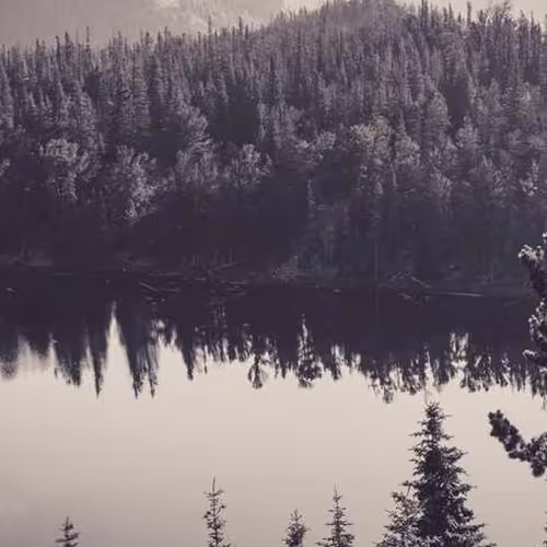 Argue Hamburg Quality