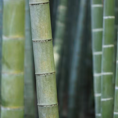 SECOND ERROR ONBOARD