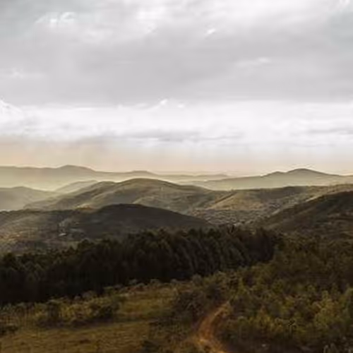 Swaziland Frost