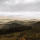 Swaziland Frost