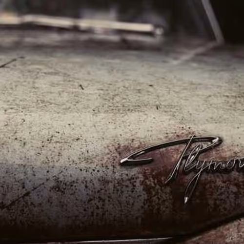 Promising Director Mba