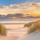 sand