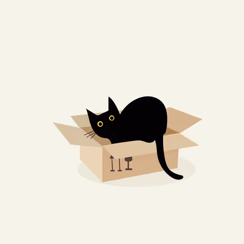 box cat