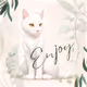 $ENJOY the zora world